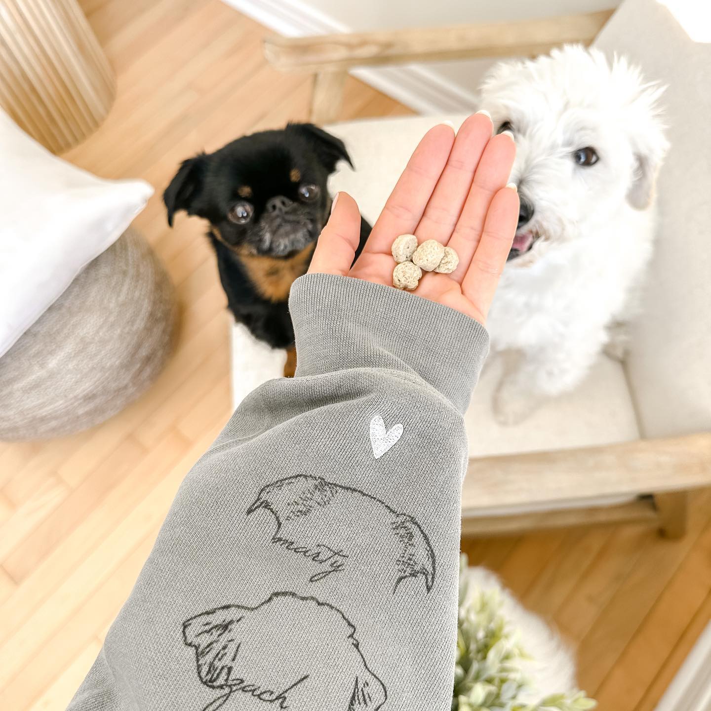 Best Sale!!Personalized Heart On My Sleeve Embroidered Sweatshirt Hoodie with Dog Cat Ears On Sleeve Gift For Any Pet Lovers