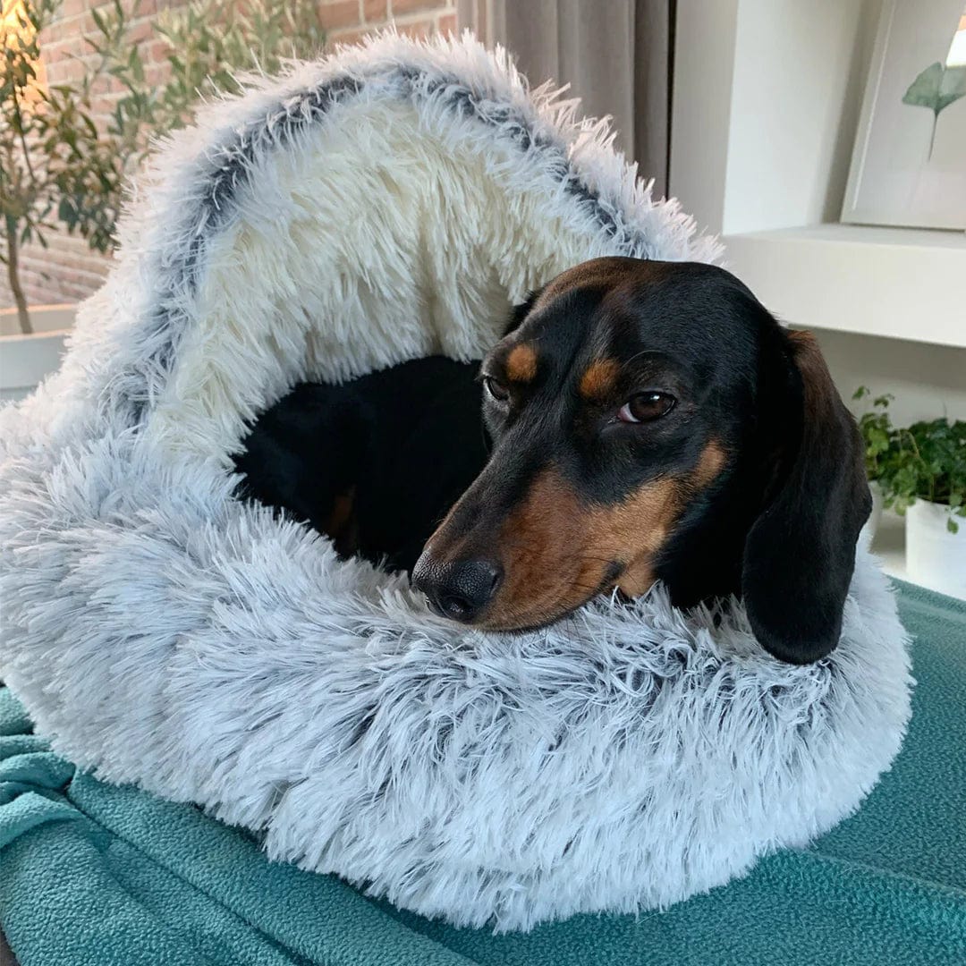 PawOops Plush Fluffy Pet Round Bed