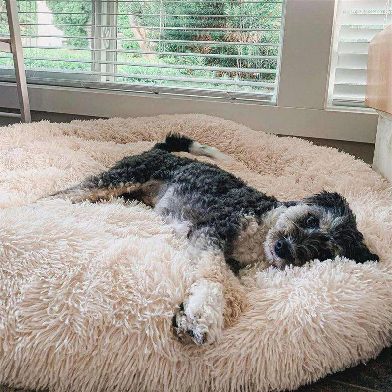 FurBabyNest™ - World's #1 Anxiety Relieving Pet Bed