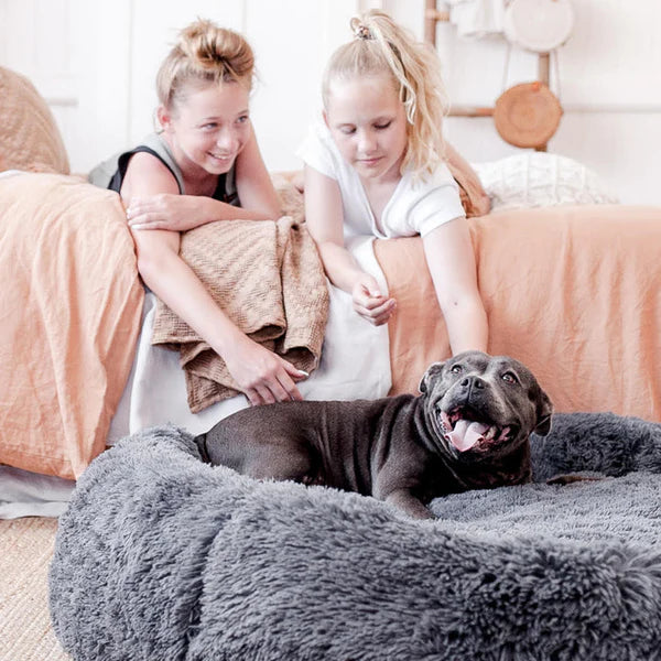 FurBabyNest™ - World's #1 Anxiety Relieving Pet Bed