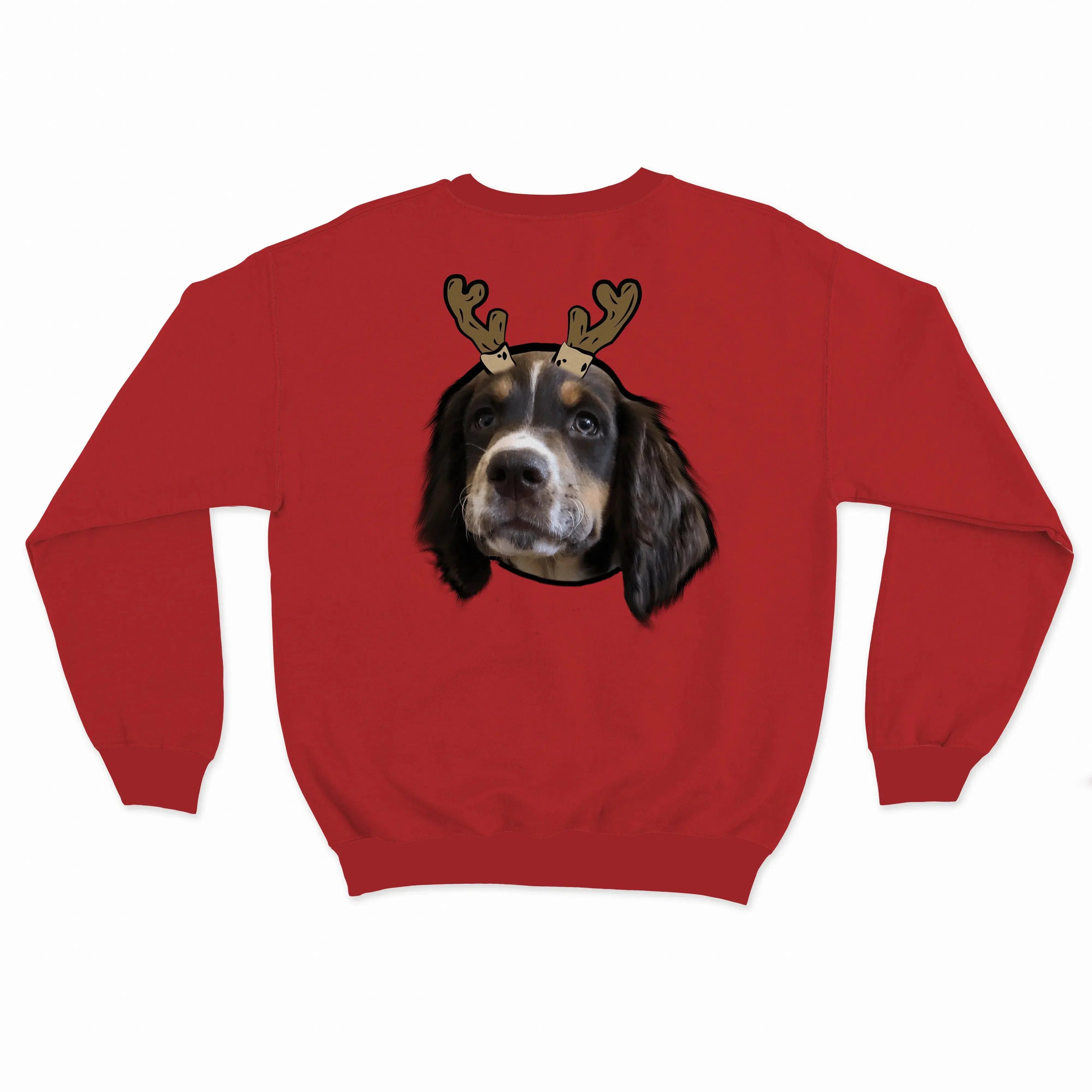 Novelty Pet Face Christmas Sweatshirt