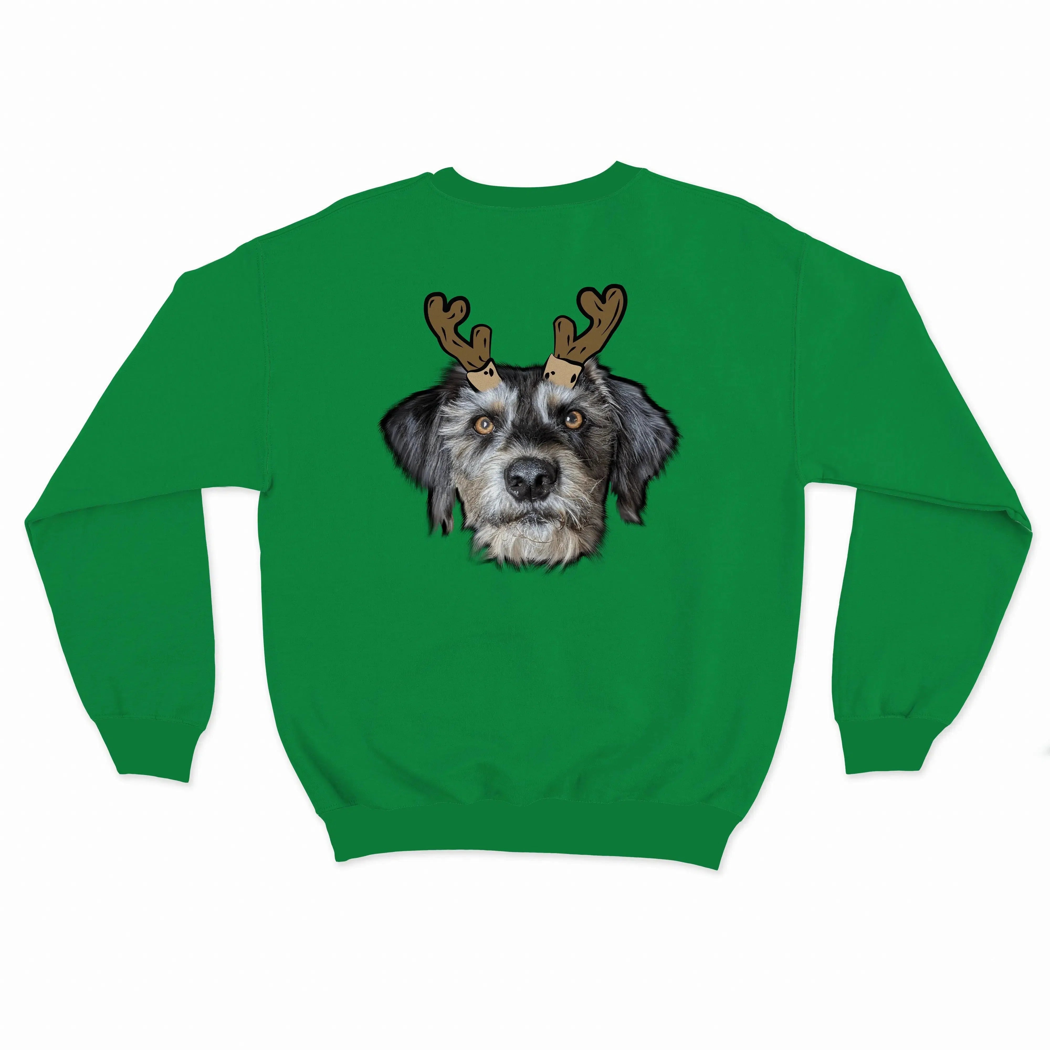 Novelty Pet Face Christmas Sweatshirt