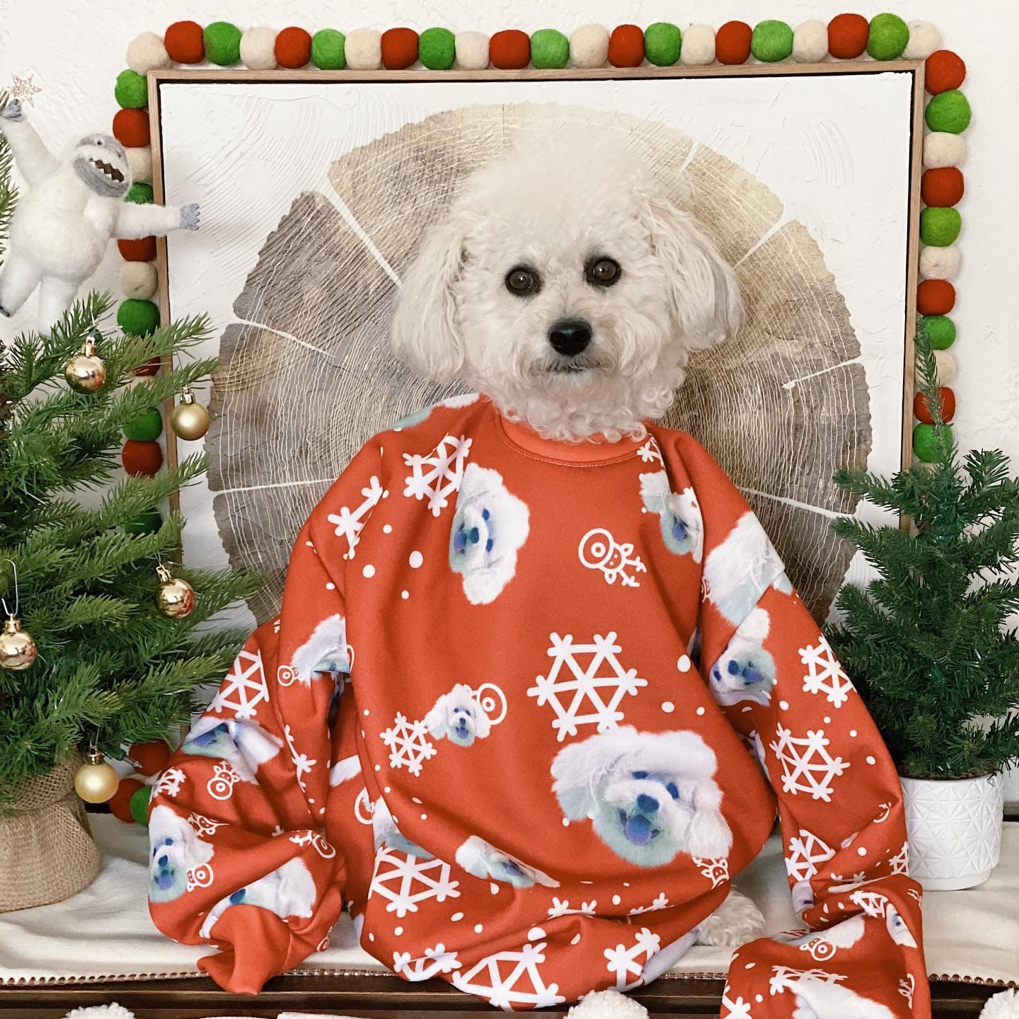 Pet Face Pattern Christmas Sweatshirt